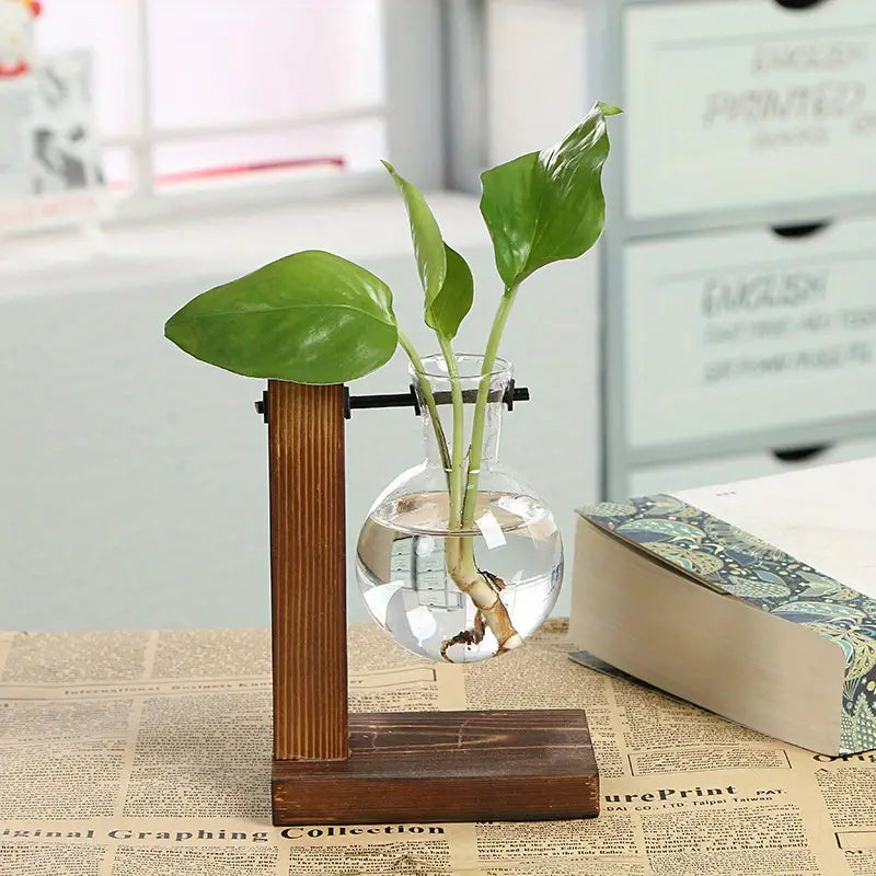 Plant Terrarium with Wooden Stand