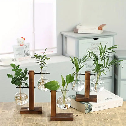 Plant Terrarium with Wooden Stand