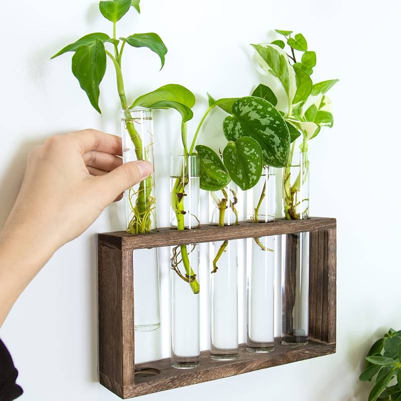 Home Plant Terrarium