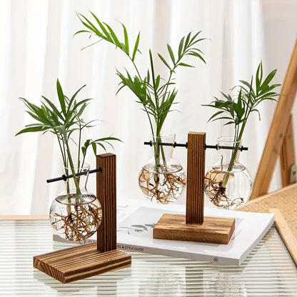 Plant Terrarium with Wooden Stand