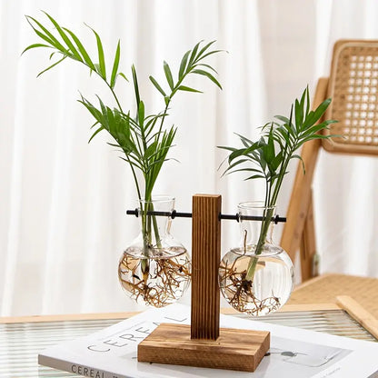 Plant Terrarium with Wooden Stand