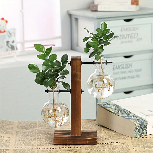 Plant Terrarium with Wooden Stand